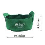 Premium – Fabric Grow Bag – 10×4 Inches