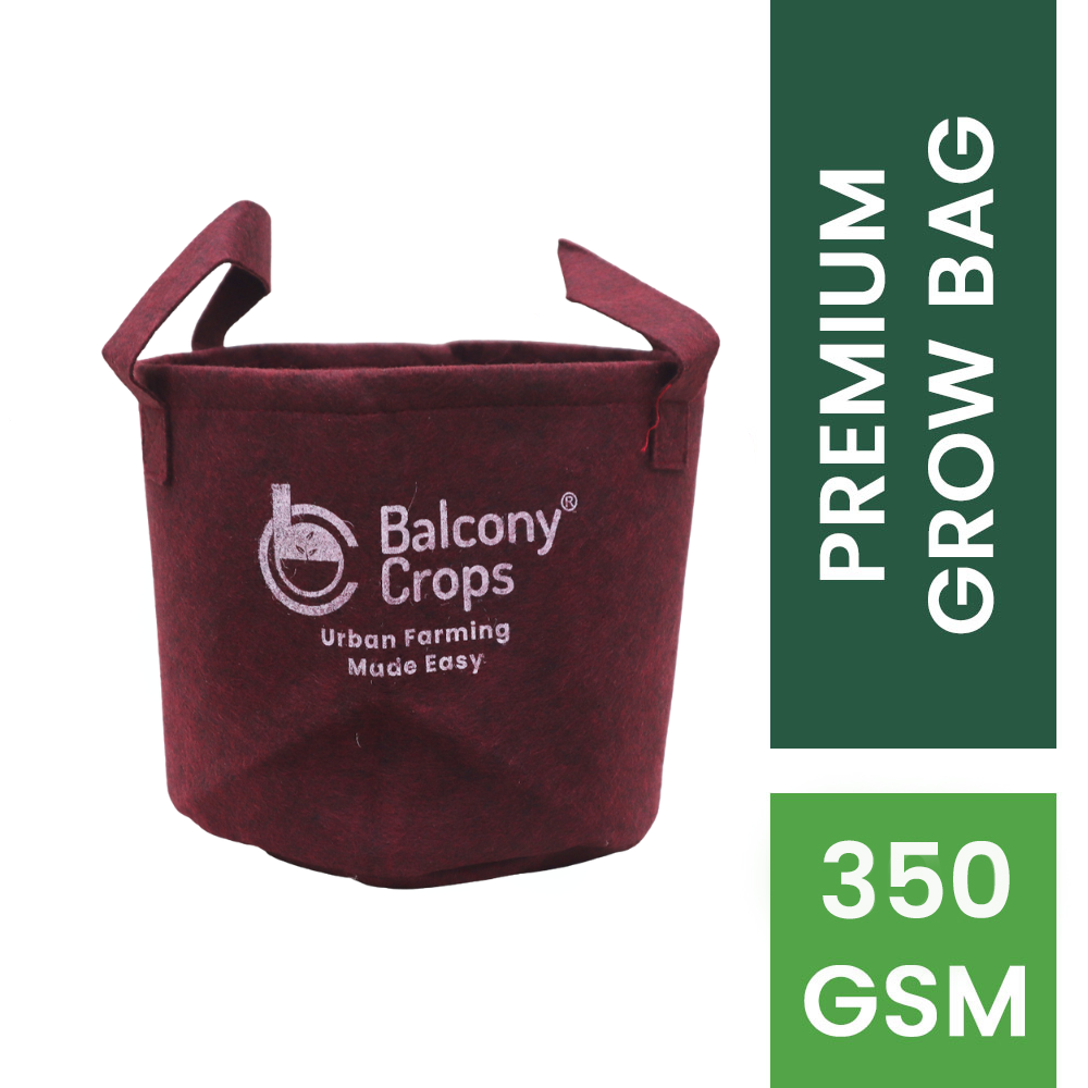 _Grow Bag – 10×4 Inches
