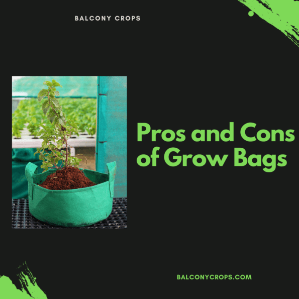 https://balconycrops.com/wp-content/uploads/2023/01/Pros-and-Cons-of-Grow-Bags-595x595.png