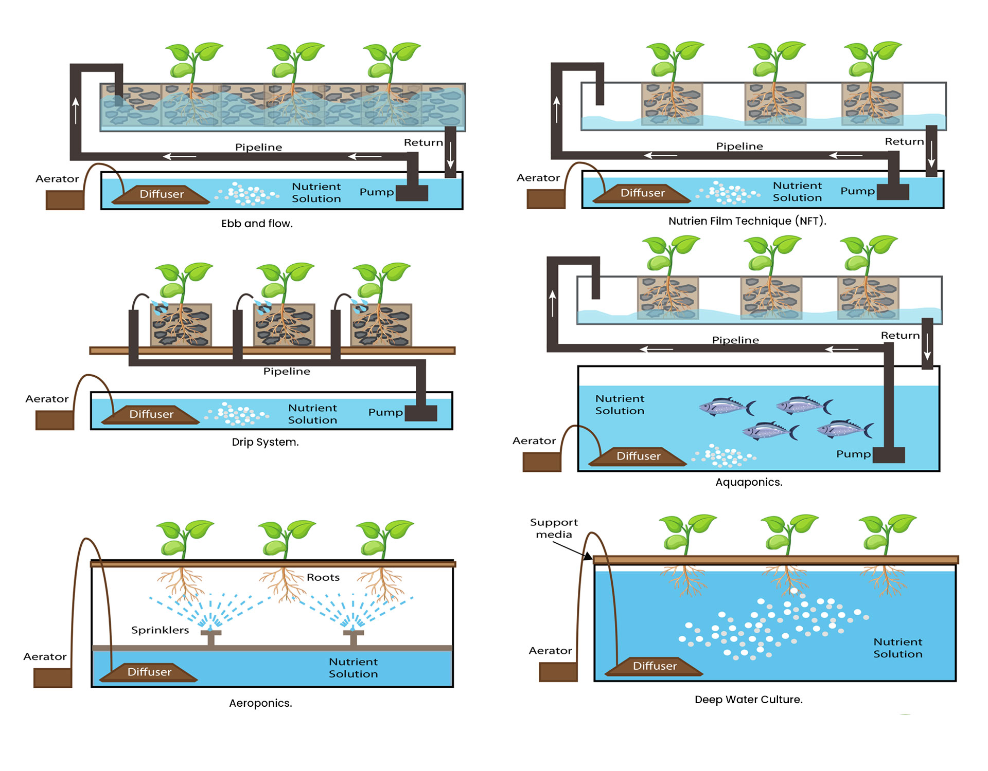 Which Hydroponic System is right for you choose