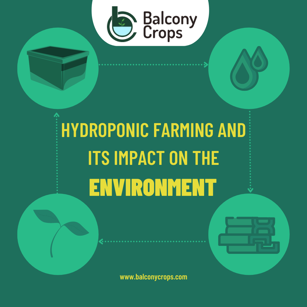 Hydroponics Farming
