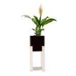 EcoWood Square Planter with Multi-Purpose Stand Advance (Large & Small)