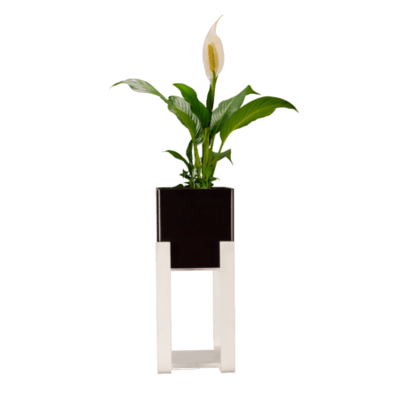 EcoWood Square Planter with Multi-Purpose Stand Advance (Large & Small)