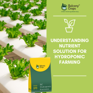 Can hydroponically grown produce be considered organic?