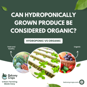 Understanding Nutrient Solution for Hydroponic Farming