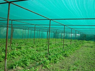 Hydroponic Farming and Sustainable Food Production