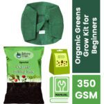 Organic Greens Grow Kit for Beginners