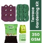 Terrace Gardening Kit