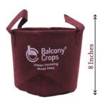 Organic_Balcony_Garden_Kit