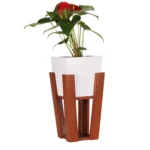 p14_ECO_PLANTER