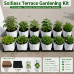 Soilless terrace gardening kit.jpg (1)