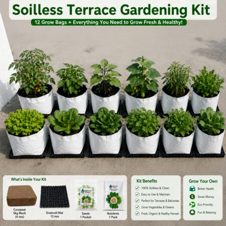 Soilless Terrace gardening kit