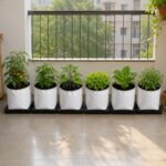 balcony garden soilless kit.jpg