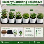 balcony garden soilless kit.jpg